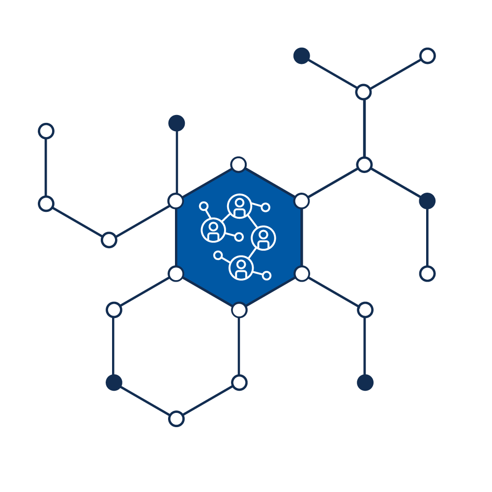 Full Service Network